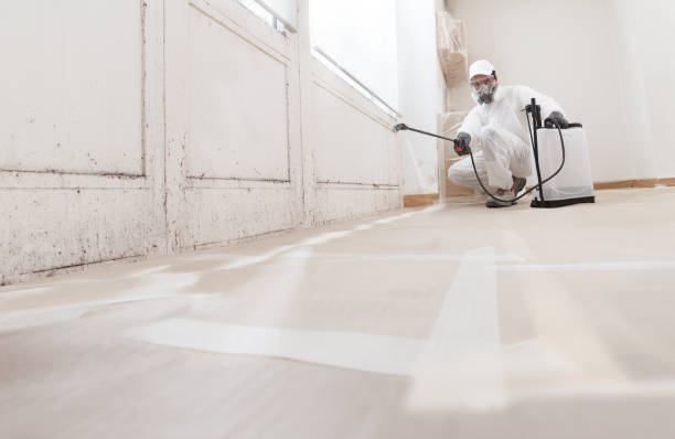 24/7 Emergency Commercial Mold Remediation experts in Danville, IL