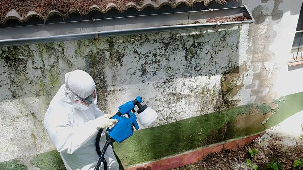 Top rated local Commercial Mold Remediation specialists in Danville, IL